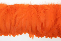 Hahnenschlappen 15-20cm orange